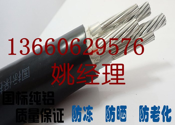 花環(huán)電線電纜