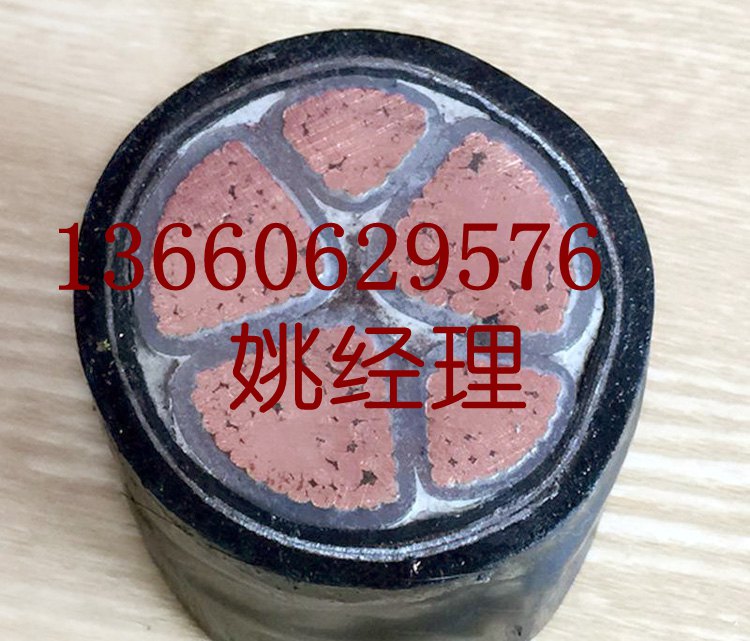 花環(huán)珠江電纜電線