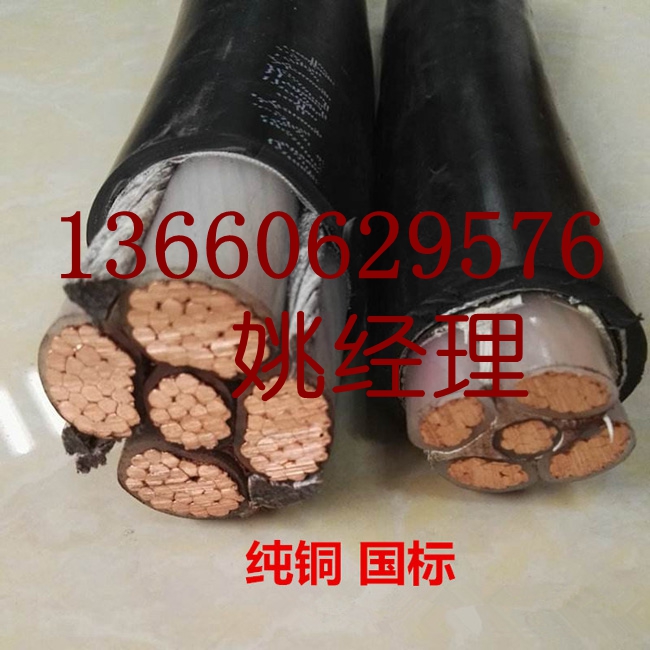 花環(huán)珠江電纜電線