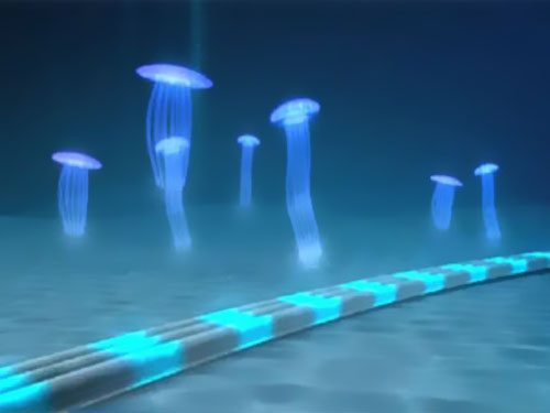 所羅門(mén)群島海底電纜項(xiàng)目獲批